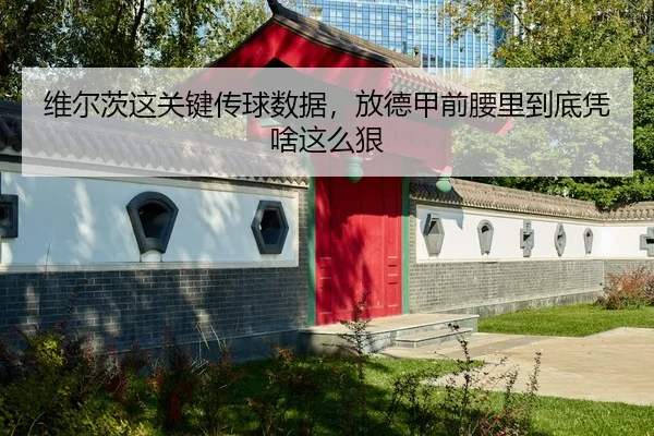 维尔茨这关键传球数据，放德甲前腰里到底凭啥这么狠
