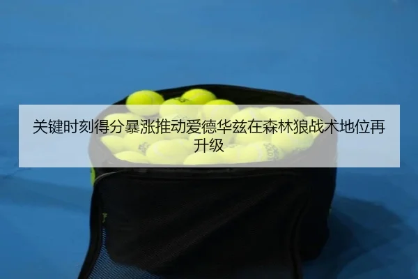 关键时刻得分暴涨推动爱德华兹在森林狼战术地位再升级 - kaiyun